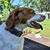 Randy Pollock's profile image