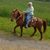 Suzanne Falvey's profile image