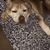 Patti Clevenger- Hendricks's profile image