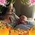 Joyce Carroll Kakas's profile image