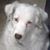Sandra Reeves Patercsak's profile image