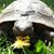 Cindy Scott's profile image