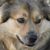 Bill Lawson's profile image