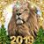 Vicki Aucutt's profile image