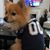 Kelvin D. Moore's profile image
