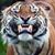 William Roberts's profile image