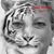 Cheryl Huebner's profile image
