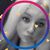 Allison Campbell's profile image