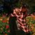 Chelsea Jean Nasea's profile image