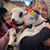 Jeanie Blake's profile image