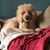 Jodi Struening's profile image