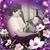 Kathy Taylor Spivey's profile image