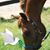 Debbie Gall's profile image