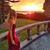 Nichole Marie's profile image