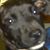 Walter Edinger's profile image