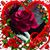 Irene Butler's profile image