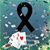 Amy Leigh Spradlin's profile image