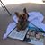 Valerie Reinholtz's profile image