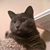 Naomi Taplin Coppinger's profile image