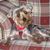 Marianne Lamprecht Jarski's profile image