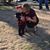 Sherri Yerkes's profile image