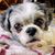 Rebecca Morrison Telford's profile image