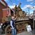 Lois Cordle's profile image