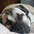 Michelle Ekstrom-Parks's profile image