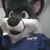 Matoa Takahashi's profile image