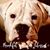 Bentley Brinkley's profile image