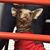 Coleen Johnson Stivers's profile image