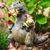 Michelle De Uriarte's profile image