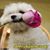 Melissa Prouty's profile image
