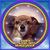 Angela Ball's profile image