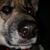 Deanna Lukens's profile image