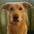 Dana Seaver's profile image