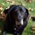Elizabeth Findlay's profile image