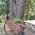 Judy Krause-Hankinson's profile image