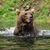 Julie Radliff's profile image