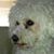 MerryLou White's profile image
