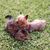 Alicia Greenhauff's profile image