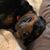 Ann Marie Christofferson's profile image