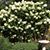 Brenda Bitler's profile image