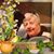 Jeann Crowcroft's profile image