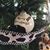 Shari Lane Sandberg's profile image