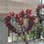 Pam Willems's profile image
