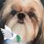 Robin Gafford's profile image