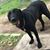 Cyndi Petcavage's profile image
