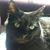 Marilyn Razek's profile image