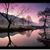 Susan Strother's profile image